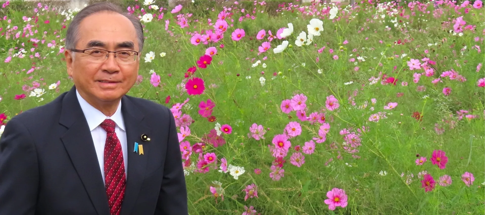 河高コスモスまつりで